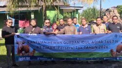 SMSI Babel Sembelih Hewan Kurban Bantuan PT Timah, Perkuat Kebersamaan Anggota