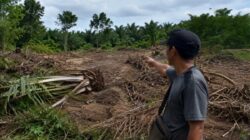 Warga Pemali Protes Aktivitas Tambang CV TMR, Kebun Sawit dan Lada Diduga Dirusak