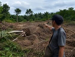 Warga Pemali Protes Aktivitas Tambang CV TMR, Kebun Sawit dan Lada Diduga Dirusak