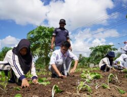 Dikemas Interaktif, PT TIMAH Ajak Pelajar Mengenal Reklamasi Pascatambang