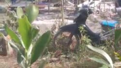 Puluhan Ponton Tambang Timah Ilegal Beroperasi di Belakang SPBU Kenanga, Warga Minta Penertiban
