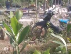 Puluhan Ponton Tambang Timah Ilegal Beroperasi di Belakang SPBU Kenanga, Warga Minta Penertiban