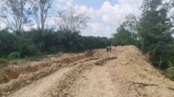 Ganti Rugi TMR Tuai Polemik, Sawit Dibayar Rendah, Lada-Karet Tak Diganti