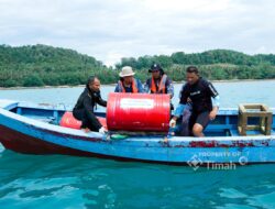 PT TIMAH Gencarkan Restocking Cumi di Perairan Tuing, Lepas Ribuan Anakan dan Tenggelamkan 10 atraktor