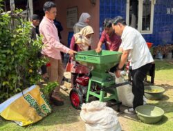 Polman Babel Kembangkan Pupuk Organik Cair Berbahan Limbah Nanas