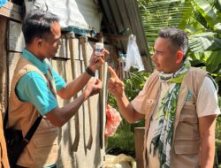 Dinas Pertanian Aceh Besar Targetkan Vaksinasi PMK untuk 50 Ekor Sapi di Ingin Jaya