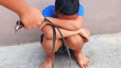 Tgk Rohid Minta Pelaku Penganiayaan Anak Diproses Hukum   