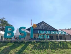 Tak Cuma Salurkan Pembiayaan, BSI dan Danantara Bangun Ekosistem UMKM agar Naik Kelas