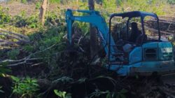 SMSI Bangka Siapkan Kebun Buah, 1.000 Pohon Akan Ditanam di Balun Ijuk