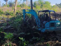 SMSI Bangka Siapkan Kebun Buah, 1.000 Pohon Akan Ditanam di Balun Ijuk