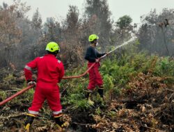 Tangani Karhutla di Kalimantan Barat, PT TIMAH Kerahkan Personel Fire Fighter Bersama Grup MIND ID 
