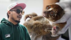 Karhutla Ancam Satwa Liar, PT TIMAH dan Alobi Perkuat Penyelamatan di Babel