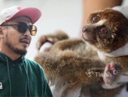 Karhutla Ancam Satwa Liar, PT TIMAH dan Alobi Perkuat Penyelamatan di Babel