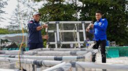 PT TIMAH Tenggelamkan Ribuan Terumbu Buatan, Perkuat Ekosistem Laut Babel