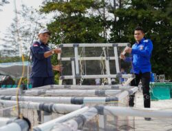 PT Timah Tenggelamkan 81 Atraktor Cumi di Perairan Bangka, Bantu Nelayan Hemat BBM